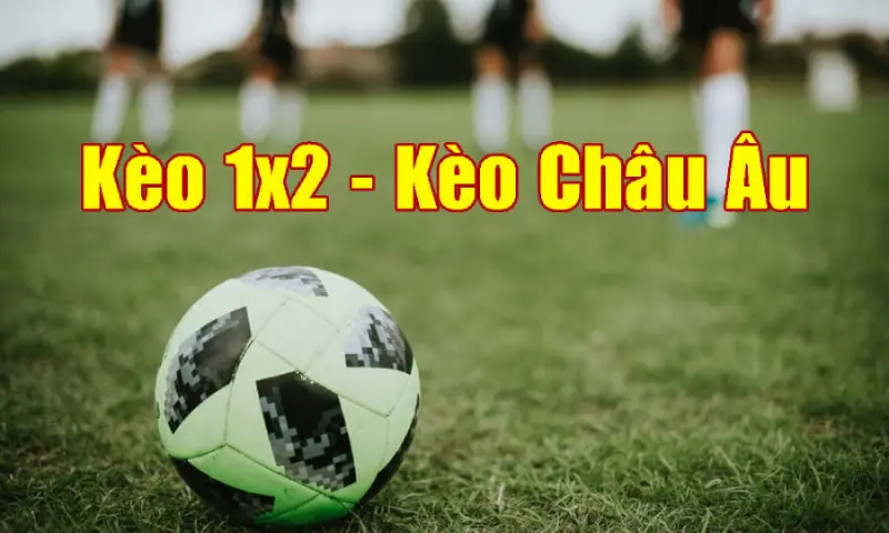 Tỷ lệ kèo châu Âu hấp dẫn, khả năng thắng cược cao cùng Soi keo 86 - القبة  - خدمات الإعلام الآلي و أجهزة الأمن