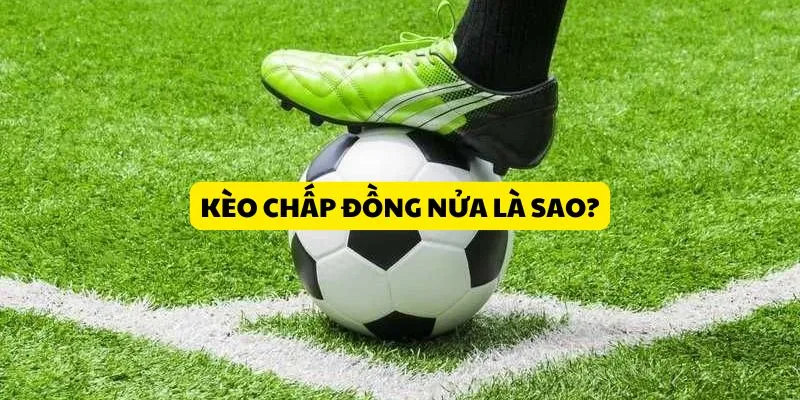 Thể thao Jun88 - Cá độ bóng đá đỉnh cao rinh quà khủng